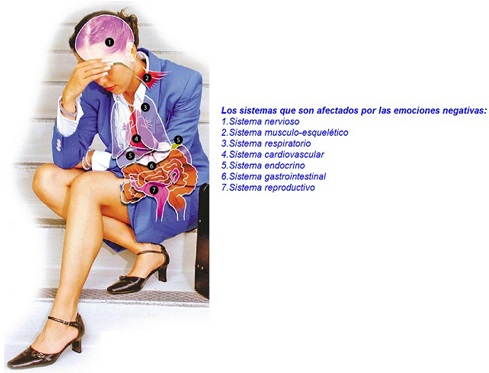 Imagen: Proyectosalud.com