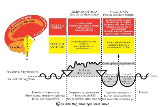 conflicto.emocional.cancer.Hammer.leyes_.Sanate.info