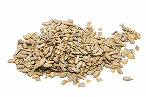 semillas de calabaza semillas de calabaza