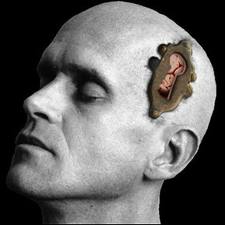 cabeza de hombre calvo con una ranura de una llave por encima de la oreja