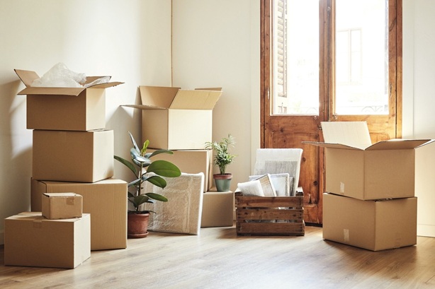cajas mudanza