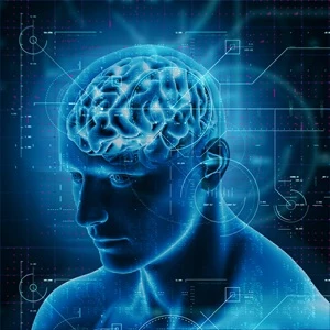 Amnesia digital
