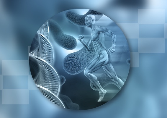 célula con dentro cuerpo humano