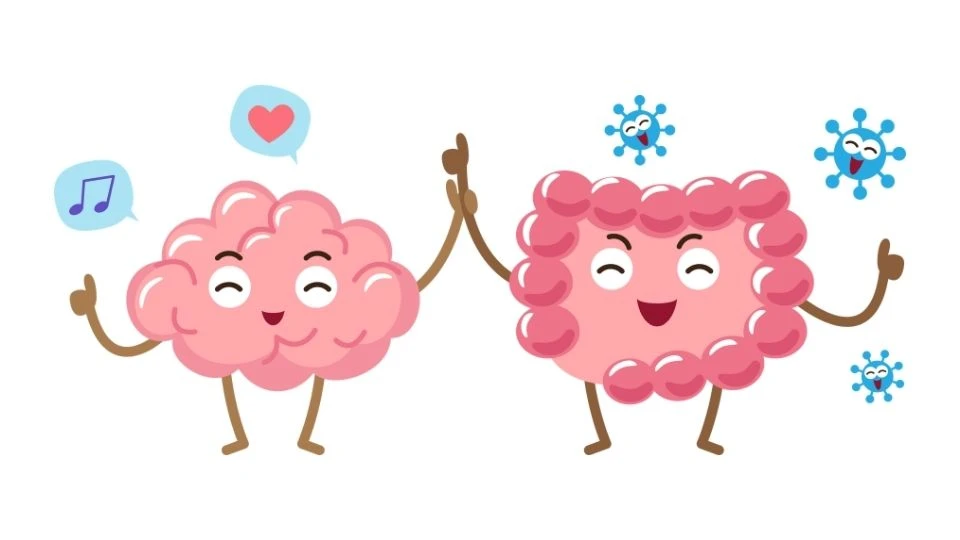nervio vago.eje cerebro intestino.microbiota