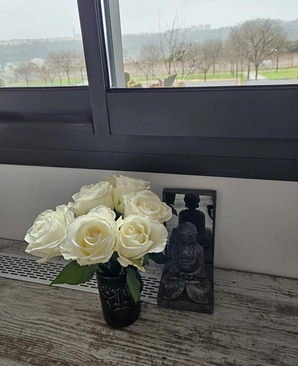 lluvia.desde.mi.ventana.Sanate.Info