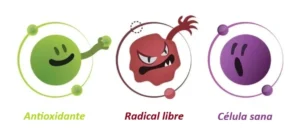 gluation-antioxidante-radicales-libres-celula-sana